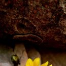 냉천공원 이미지