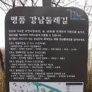 미미위강남세움센터 이미지