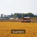 부안 유명한 바지락죽, 누에 박물관, 기타 후기