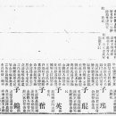 《신라삼성연원보》를 통해 보는 가짜 족보의 실상 이미지