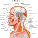 성북한의원 이미지