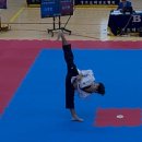 진스태권도장 이미지