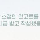 강남 요미독앤캣 강아지 분양 고양이 분양 이미지