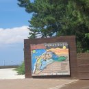 [충남 태안] 천리포수목원,카페49,신두리5초펜션,대양횟집 이미지