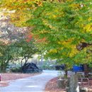 가송마을 이미지