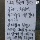 갈마상회 | 여름 끝자락 , 🦋