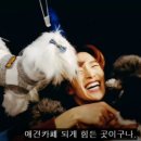 5959 내강아지 이미지