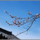 남사-8 이미지