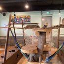 멍이와 쿤이 이미지