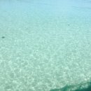 곽지그집 이미지