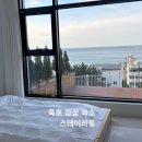 스테이하몽 이미지