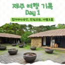 서부 할머니 | 제주 여행 Day1(서부) - 협재, 한림공원, 새별오름