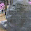 부천시교통정보센터 | 부천 원미산(167m) 진달래 동산- ( 2026.04.03 )