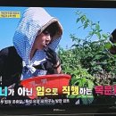 아침농장순창 이미지