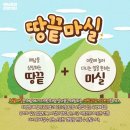 해남여행민박 이미지