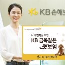 우리강아지 이미지
