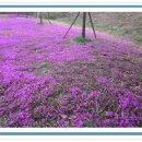 가학산휴양림 1 이미지