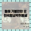 팔복건어물 | [동해가볼만한/천곡황금박쥐동굴] 8월 국내 여행 강원도 동해 비올때 갈만한 곳 추천