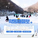 학동곶감마을 이미지