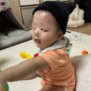 에이블 동물병원 | 9월 셋째주 주말 일상 🍁