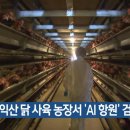 씨제이올리브영전북