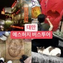 365행복마을 | [대만] 대만 패키지여행 예스허지 버스투어 : 허우통 고양이 마을, 예류, 스펀 천등 후기