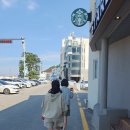 월호평길 | 【강릉 안인, 안목 맛집】 메이플비치골프&amp;리조트 숙박과 고향횟집 안목바다식당 안목 카페거리 즐기기