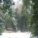 풍경찻집 이미지