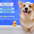 수제산업동물병원 이미지