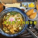 히카리 | 응암동 줄서는 맛집 히카리우동 가본 후기