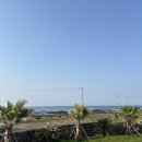 평대살래 | 바다가보이는 넓은 마당과 프라이빗한 독채!제주민박 평대살래 안거리 대만족 후기