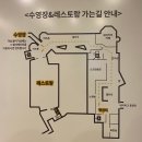 수영장 때문에 예약했는데 실망했던 에코랜드 호텔 수영장 후기