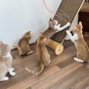 현미민박 이미지