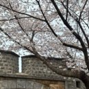 수원시 팔달구 향교로137번길 이미지