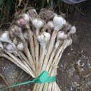 원영농장 이미지