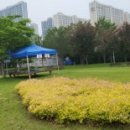 강당말공원 이미지