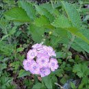 송강농장 이미지