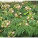 은곡농장 이미지