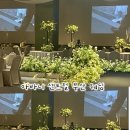 아바니센트럴 부산 | [Wedding]아바니 센트럴 부산 호텔 웨딩 계약 후기 – 첫 방문에 바로 계약한 이유