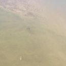 GS25 청룡점 이미지