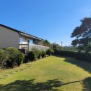 서쪽강생이 이미지