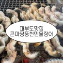 싱싱민물장어세상 | [대부도 맛집] 몸보신 제대로! 두툼한 장어에 반하고 온 '큰마당풍천민물장어' 내돈내산 후기