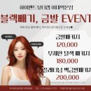 이대미용실 하이엔드뷰티랩이대역본점 여자단발레이어드컷