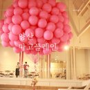 마고하우스 | 양산 마고플레인 비비하우스 솔직후기 설치미술 더팬 날다 예약방법 입장료 시간 주차장