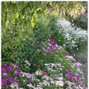 동고민박 이미지