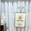 백연화장품 | 천안퍼스널컬러 진단 캐치컬러 후기 겨울 쿨톤 소프트