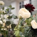 수원시립교향악단 제296회 정기연주회 이미지