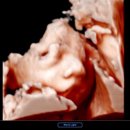 오복산전 이미지