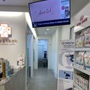 두리틀동물병원 | 구산역동물병원 은평구24시예담동물병원 방문후기