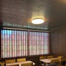 정희애견 이미지